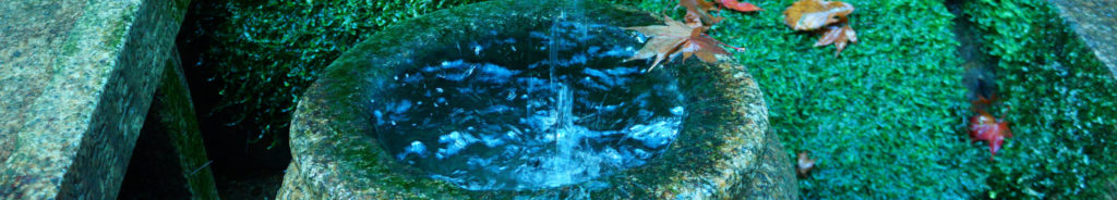 zen禅のイメージ写真